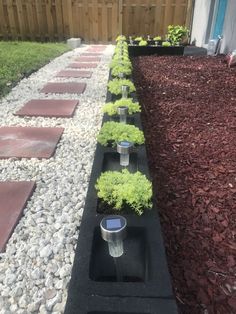 some plants are growing in the middle of a long row of black edgings