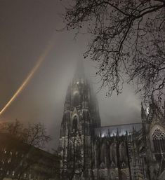 the cathedral is surrounded by fog and trees