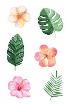 watercolor flowers and leaves on a white background