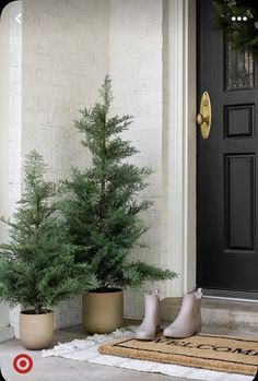 two potted trees sitting next to each other in front of a door