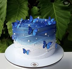 there is a blue and white cake with butterflies on the frosting, sitting on top of a plate