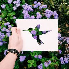 a person holding up a piece of paper with a bird on it and purple flowers in the background