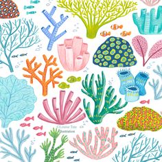 an underwater scene with corals and seaweed on a white background, in pastel colors