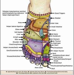 Acupressure Points, Yoga Photography, Natural Health Remedies