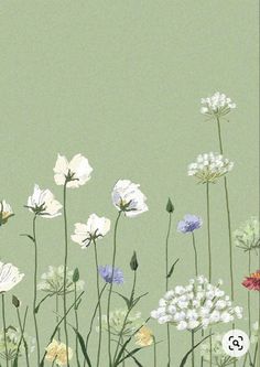 a painting of white and purple flowers on a green background with space for the text