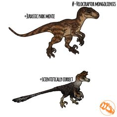 three different types of dinosaurs with names