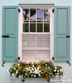 a window with green shutters and flowers in the window box below it is a blue wall