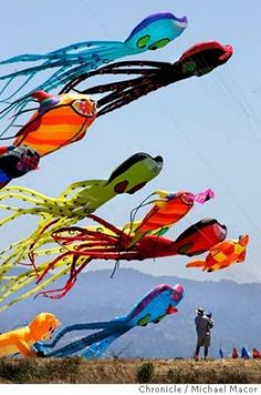 many kites are being flown in the sky with people standing on top of them