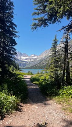 a trail leading to a lake surrounded by trees