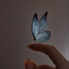 a blue butterfly sitting on top of a finger