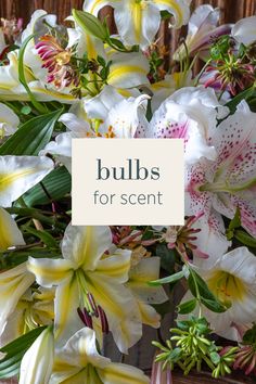 a bunch of white and yellow flowers with the words bulbs for scent on it's side