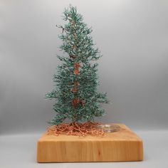 a small pine tree sitting on top of a wooden block