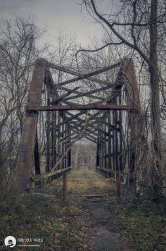 an old rusty bridge in the woods with no people on it and some trees around