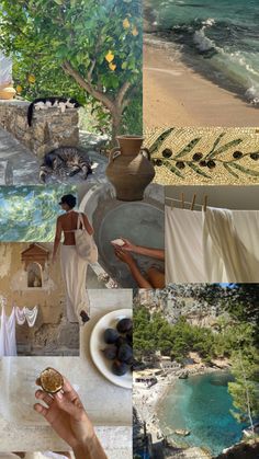 a collage of pictures with people and animals on them, including water, trees, sand and rocks