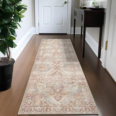 a large rug is on the floor next to a potted plant in front of a white door