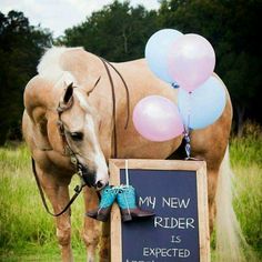 a brown horse standing next to a chalkboard with balloons on it's back