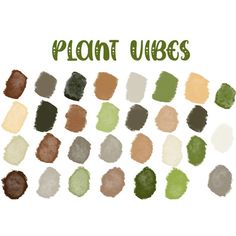 the words plant vibes written in green and brown ink on a white background with different colors