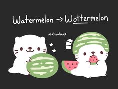 two cats with watermelon slices on their backs