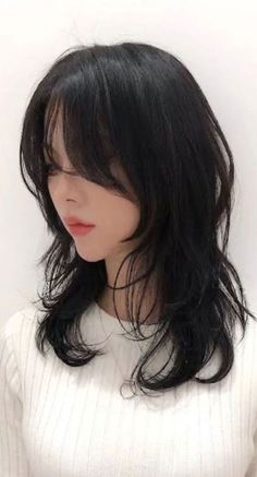 hairstyle Face Framing Layer Haircuts, Haircut Ideas Woman, Simple Wolfcut, Cute Haircuts Straight Hair, Jellyfish Haircut With Curtain Bangs, Mid Length Wolf Cut Straight Hair, Shaggy Face Framing Layers, Asian Girl Wolf Cut Hair, Hush Cut Shoulder Length