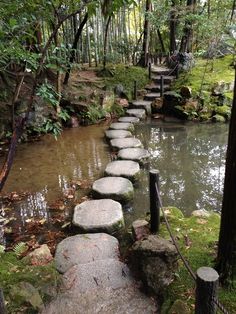 stepping stones in the middle of a stream