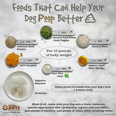 an info board with different foods that can help your dog poop better 3 times