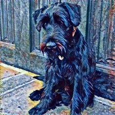 a black dog sitting on the ground next to a fence