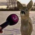 a person holding a microphone up to a deer in the snow