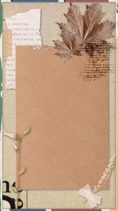 an old photo frame with leaves and papers on the bottom, along with torn paper