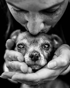 Photographer Offers Free Photo Shoots To People Saying Goodbye To Their Pets | Dog photoshoot pet photography, Dog photoshoot, Dog portrait photography #Dog_Owner_Photoshoot #Dog_Family_Pictures #Family_Dog_Photos #Dog_Photoshoot_Pet_Photography Pet Photo Shoot, Dog Owner Photoshoot, Dog Photoshoot Pet Photography, Dog Portrait Photography, A Dogs Purpose, Realistic Sketch