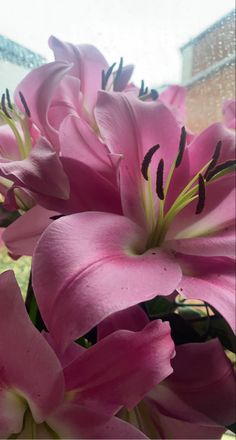 some pink flowers are in a vase outside