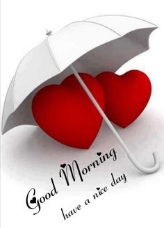 two hearts under an umbrella saying good morning have a nice day