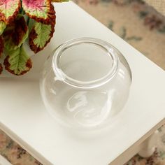 a clear glass vase sitting on top of a white table next to a flower pot