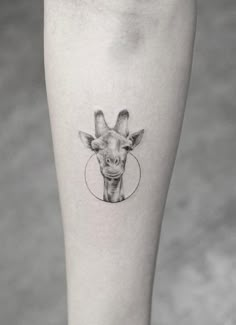 a giraffe's head is shown on the right side of the leg