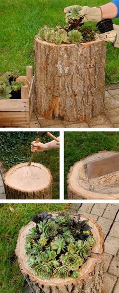 the process of making a tree stump planter