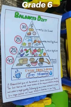 balanced diet project chart idea Balanced Food Chart, Nutrition Diet Chart, Balanced Diet Project Ideas, Balanced Diet Drawing, Nutrition Arts And Crafts For Kids, Balanced Meal Chart, Healthy Food Drawing For Kids, Balanced Diet Chart For School Project, Healthy Diet Poster Drawing