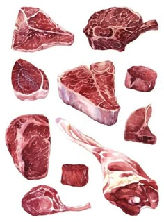 some meats are shown on a white background