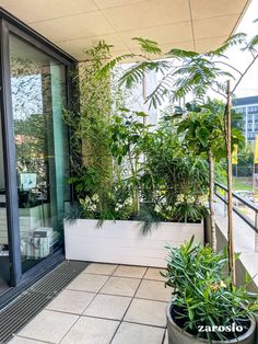 a balcony with potted plants on the floor and large windows in the back ground