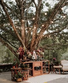 an outdoor bar is set up under a large tree with lights strung from the branches