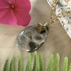 Petoskey Stone from Michigan, handcrafted into a cabochon with a drilled hole and a gold-plated stainless steel jump ring with a turtle charm. Includes an 18" gold-plated stainless steel chain. Stone measures approximately 0.93 x 1.35 inches. Petoskey Stone Jewelry, Petoskey Stone, Turtle Charm, Turtle Pendant, By The Lake, Cabochons Stones, Charm Pendant Necklace, Stone Pendant Necklace, Stone Pendant