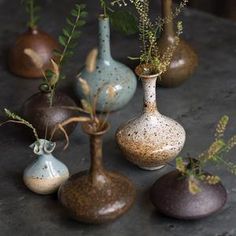 a group of vases with plants in them on a table next to each other