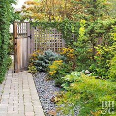 a garden with lots of green plants and flowers on the side of the road, next to a wooden gate