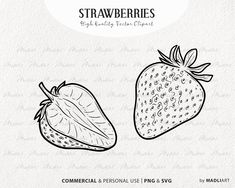 two strawberries are shown with the words,'strawberry berries'in black and white