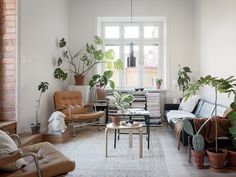 a living room filled with lots of furniture and potted plants on the windowsill