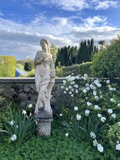 a statue in the middle of a garden with white flowers and greenery around it