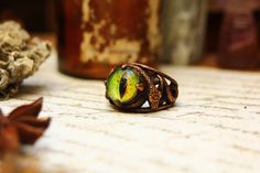 Cryptozoology Museum, Gemstone Rings, Rings For Men, France, Gemstones