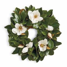 Magnolia Wreath | Frontgate Cotton Wreaths, Living Wreath, Magnolia Leaf, Door Hangings, Painted Door, Hydrangea Not Blooming, Magnolia Blossom, Magnolia Wreath, White Magnolia