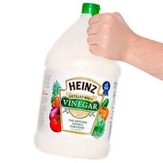 a hand holding a bottle of heinz's vinegar