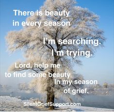 there is beauty in every season i'm searching i'm trying lord help me to find some beauty in my season of grit