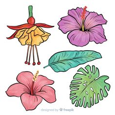 tropical flowers and leaves on a white background