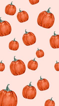 many orange pumpkins on a pink background